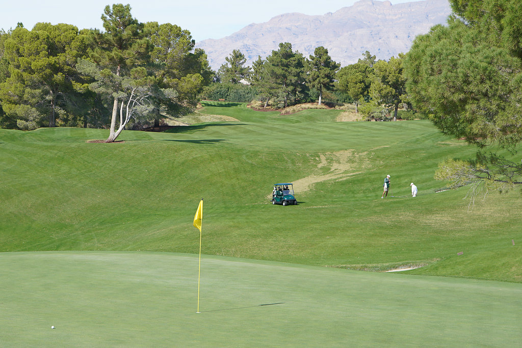 2015-McDonaldAutoGolf-Vegas-8x-083.jpg