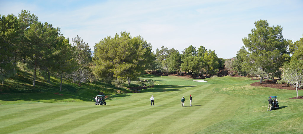 2015-McDonaldAutoGolf-Vegas-8x-081.jpg