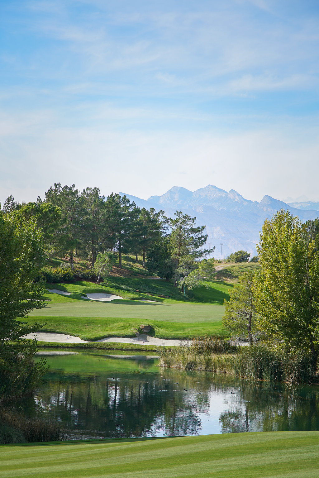 2015-McDonaldAutoGolf-Vegas-8x-092.jpg