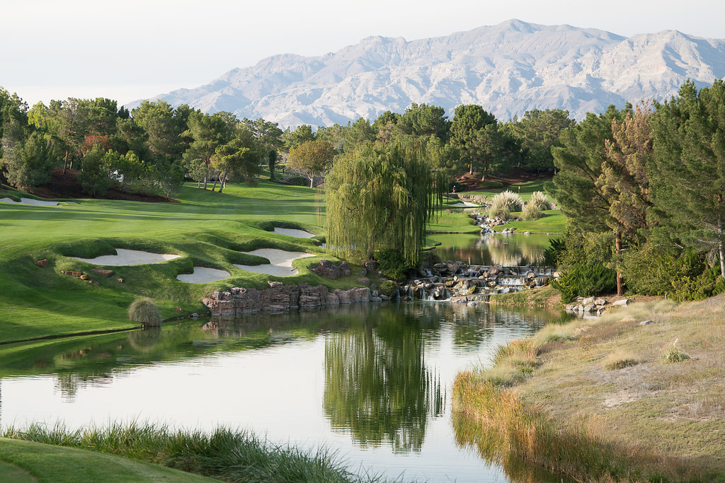 2015-McDonaldAutoGolf-Vegas-8x-124.jpg