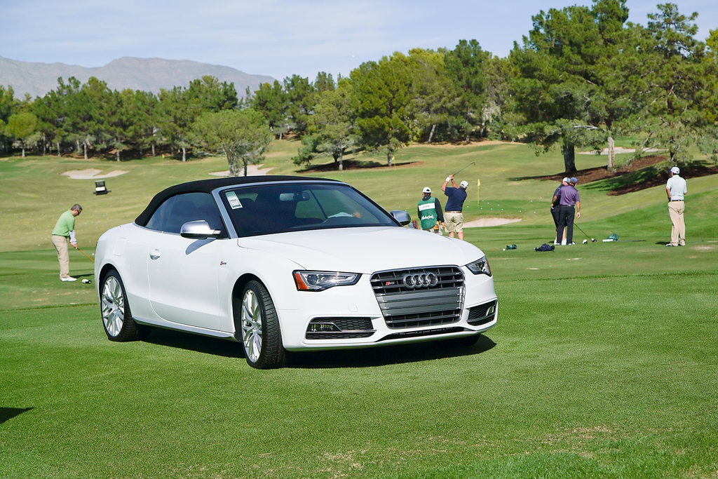 2015-McDonaldAutoGolf-Vegas-8x-068.jpg