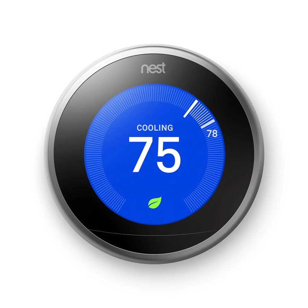 Nest.jpg