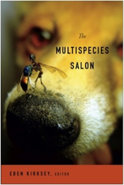 bookcover.jpg