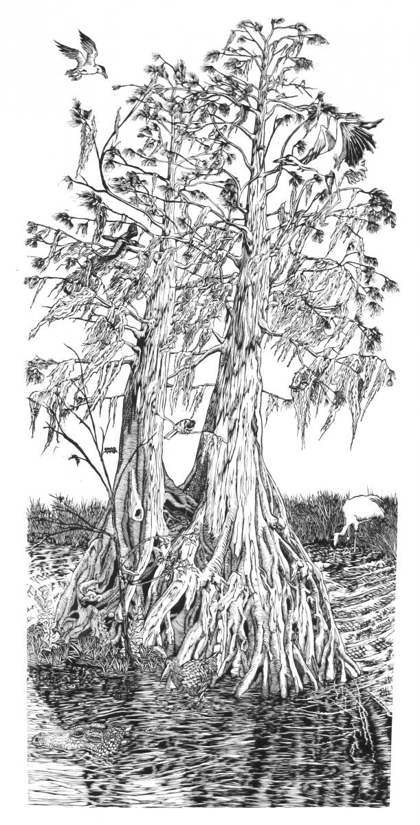 cypress-I-front3.jpg