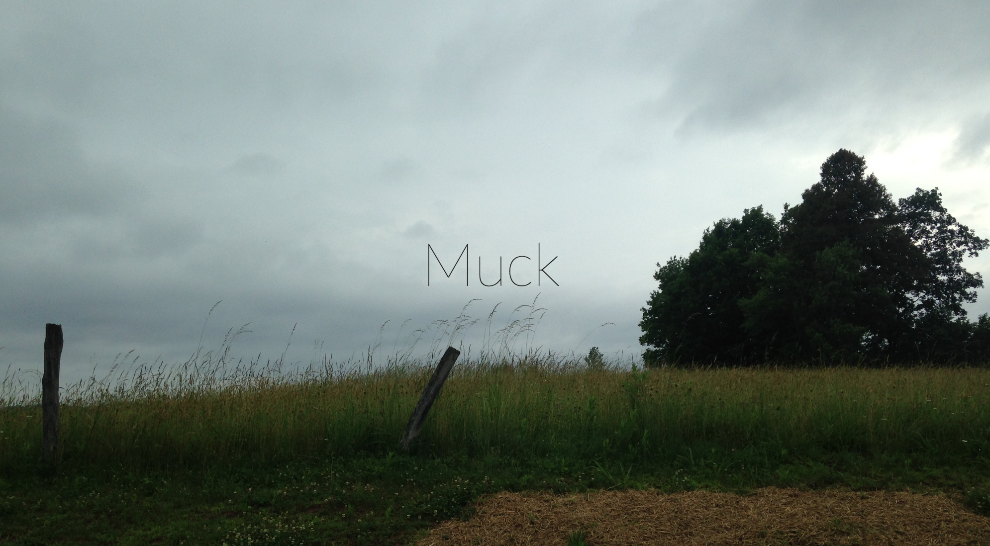 Muck (web series & podcast)
