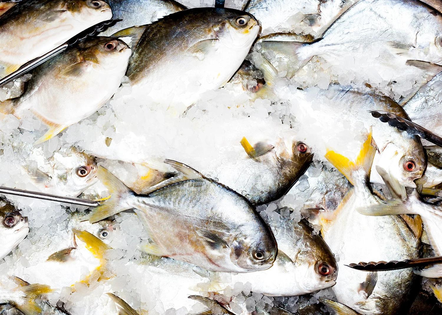 Seafood-City-008.jpg