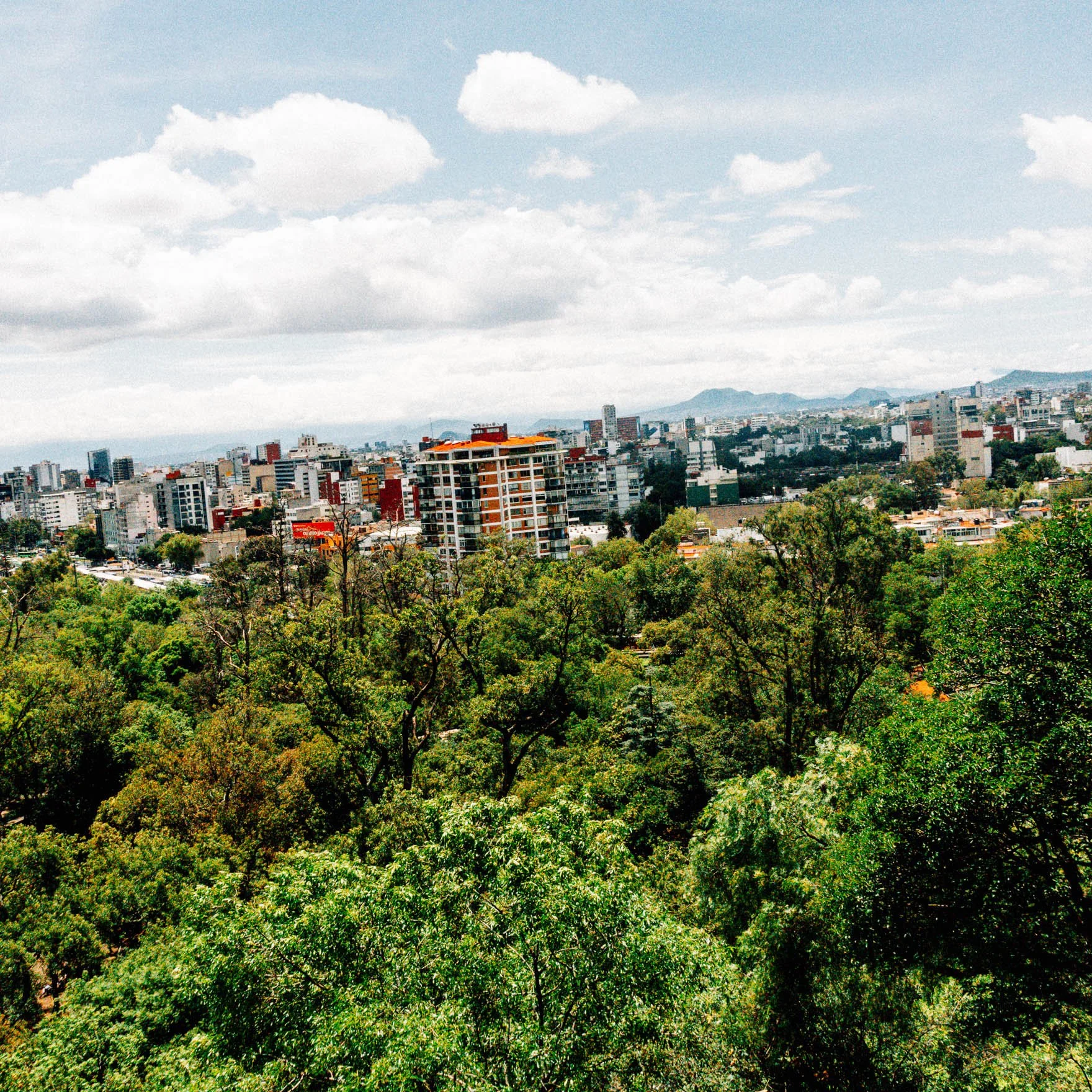 20250707_Mexico-City-69.jpg