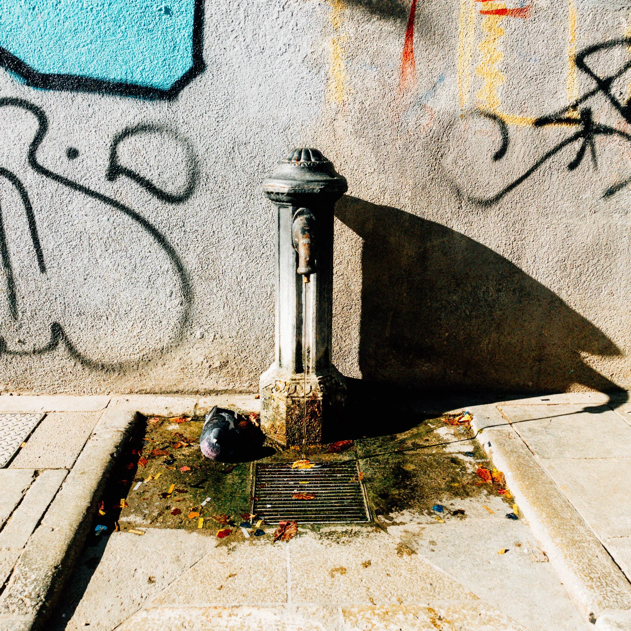 20221110_Italy-118.jpg