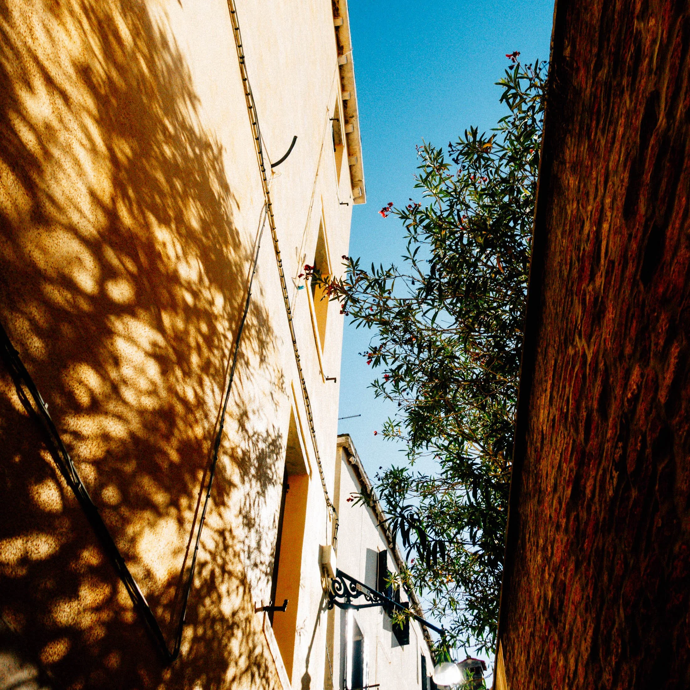 20221110_Italy-124.jpg