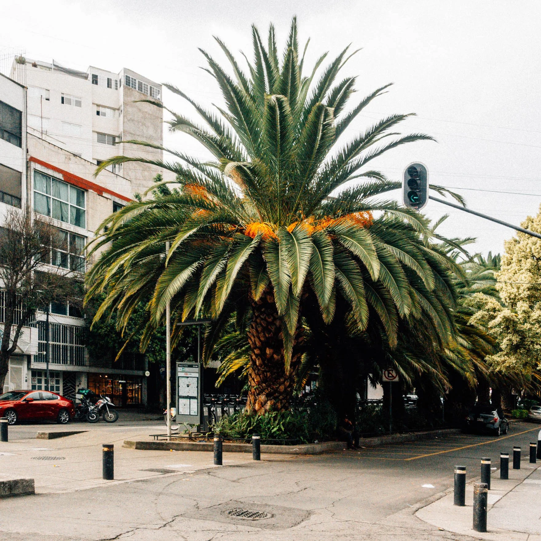 20250707_Mexico-City-21.jpg