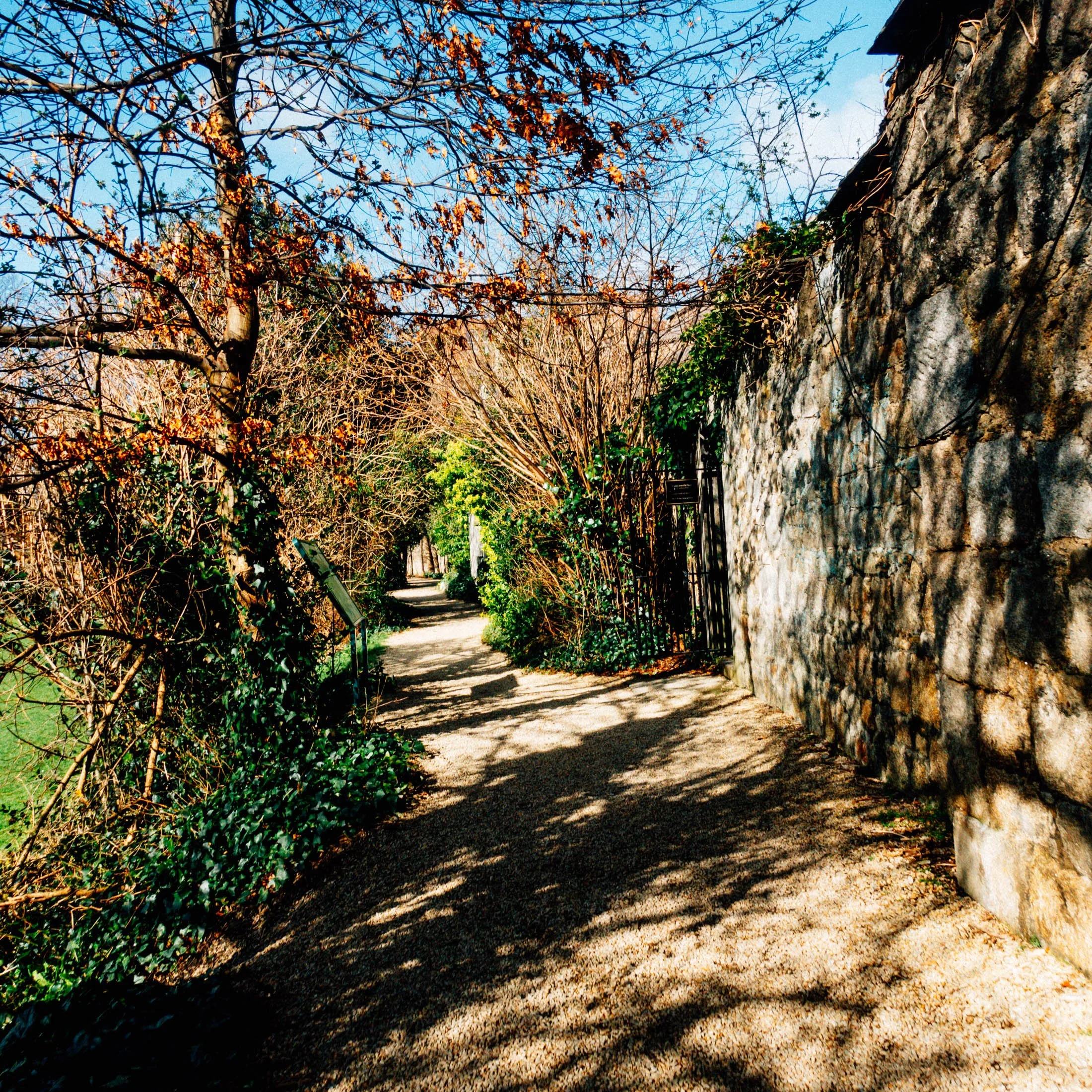 20240304_Dublin-Travel-40.jpg