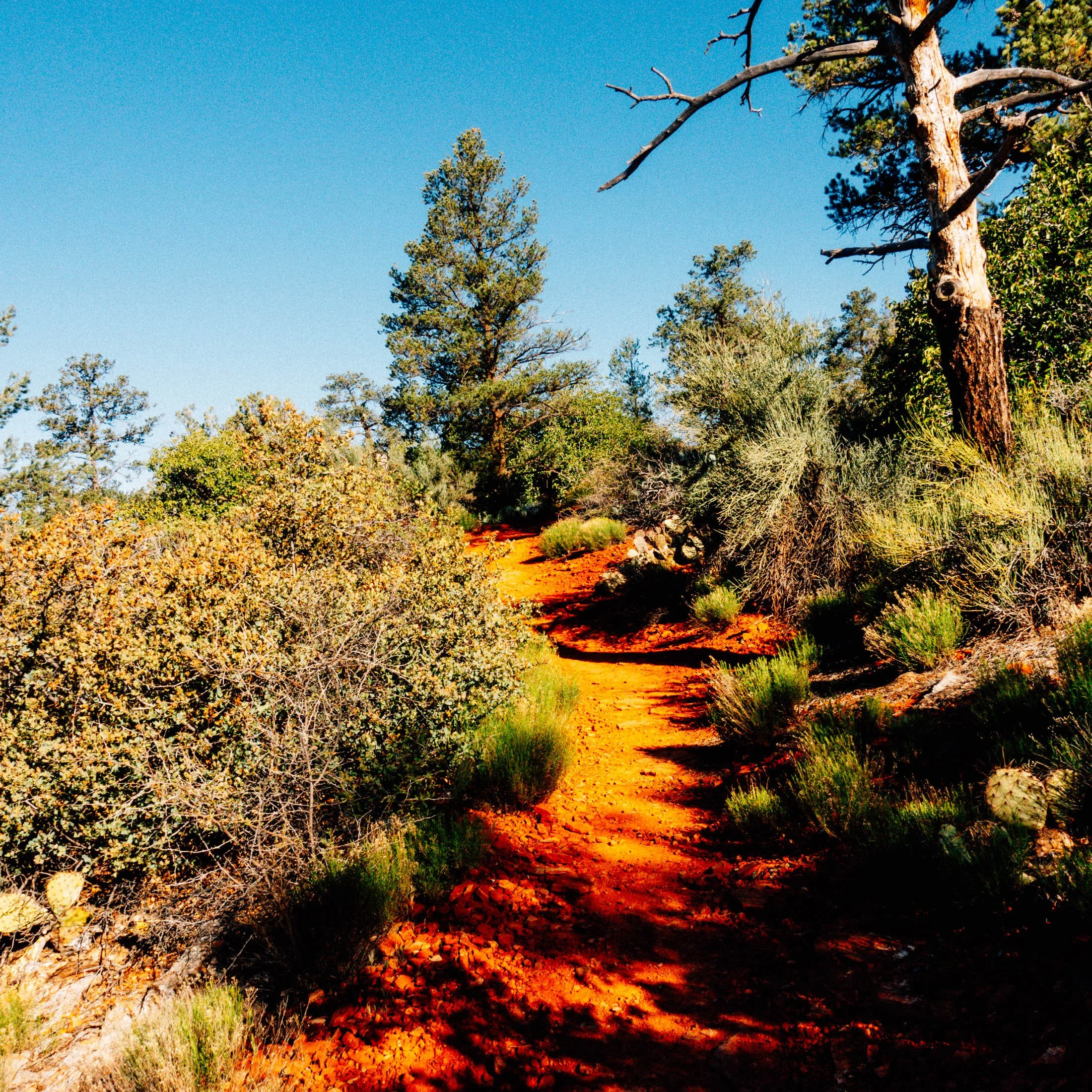 20240506_Arizona-Vacation-33.jpg