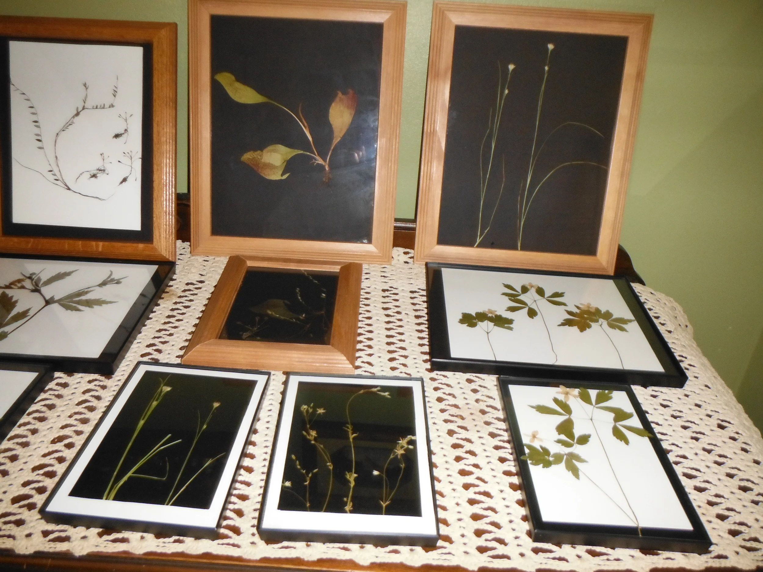 Goods from the Woods. Photo credit: Gail Bong