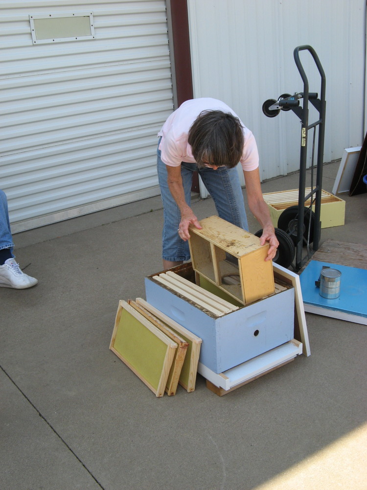  Deb showing us how to build a honey bee hive. 