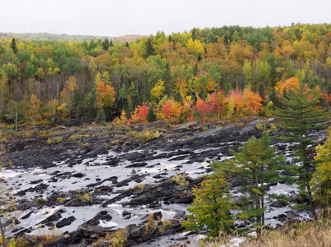Women and Woodland Management