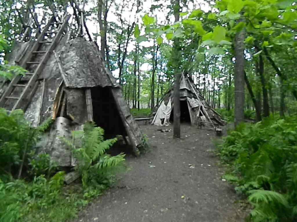 birch bark lodges.JPG