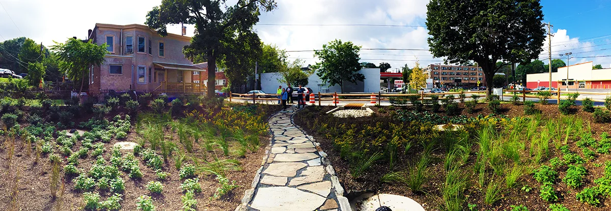 RainGarden_PA.jpg