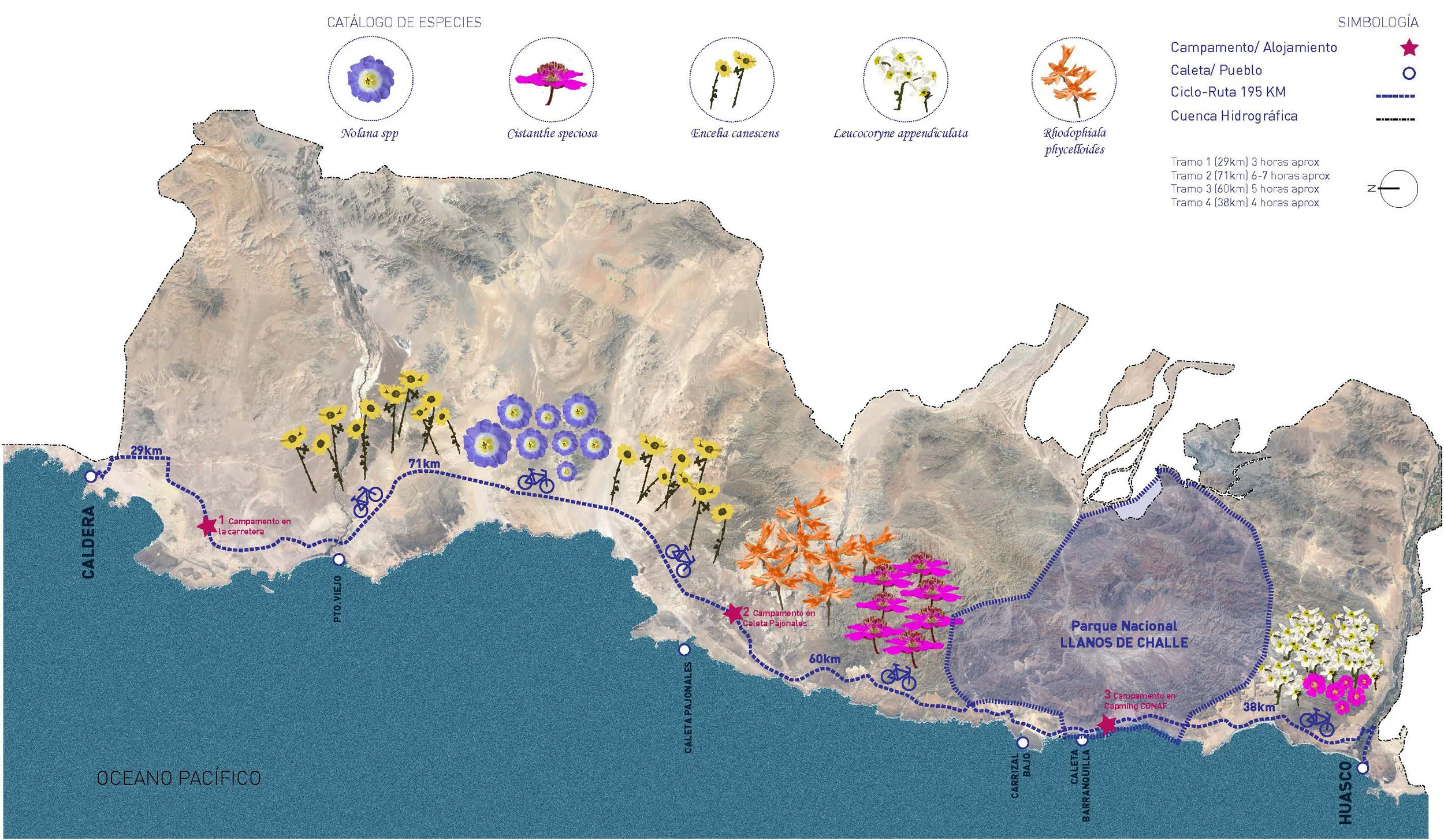 Mapa-CALDERA-HUASCO-(1).jpg
