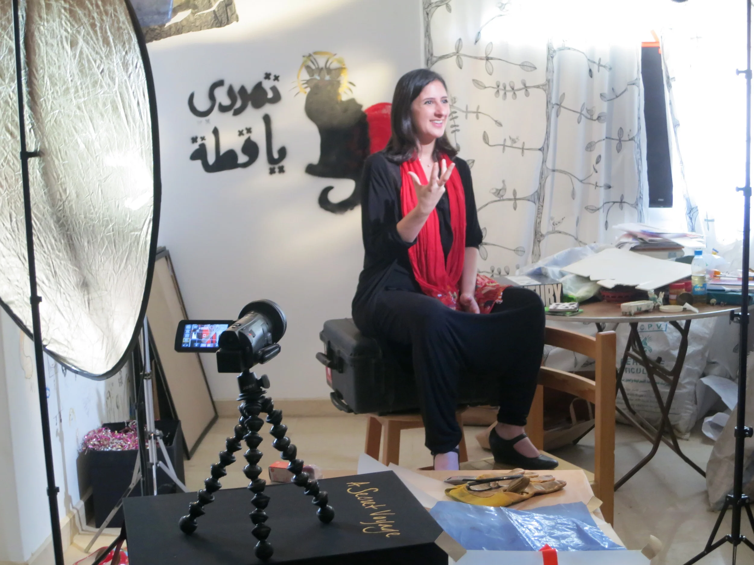  Interviewing artist&nbsp; Bahia Shehab &nbsp;in her 6th of October City studio, outside of Cairo. 