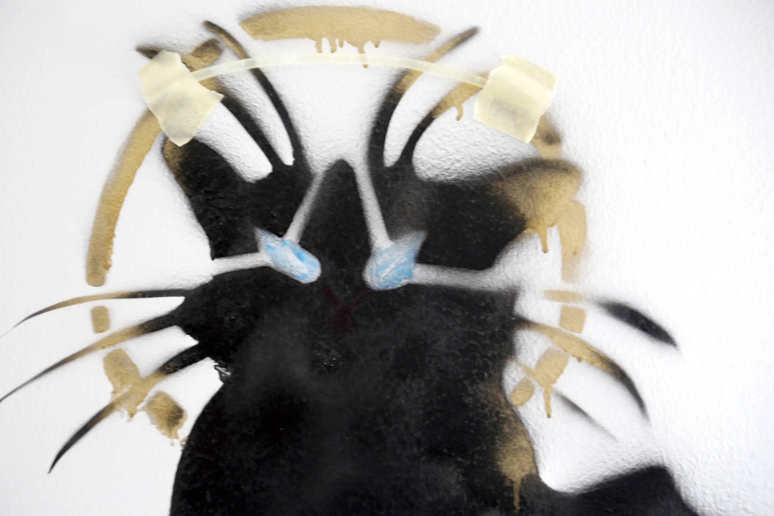  A tight shot of artist Bahia Shehab's&nbsp;"Rebel Cat" in her 6th of October City studio, outside of Cairo. 