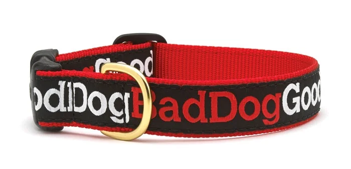 fun-dog-collar.jpg