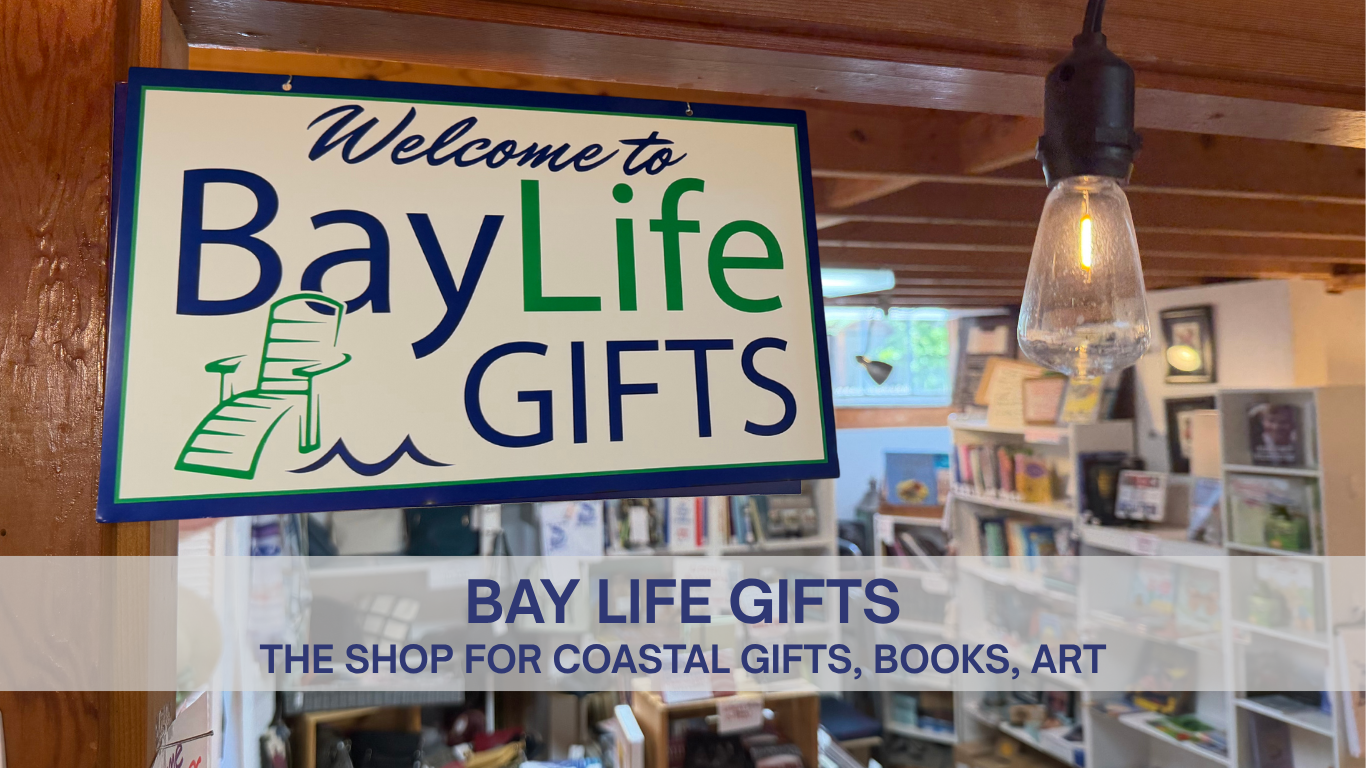 BayLifeWeb2026.png
