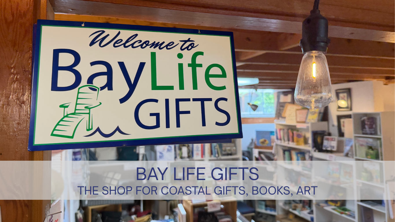 baylifegiftswebbanner26.png