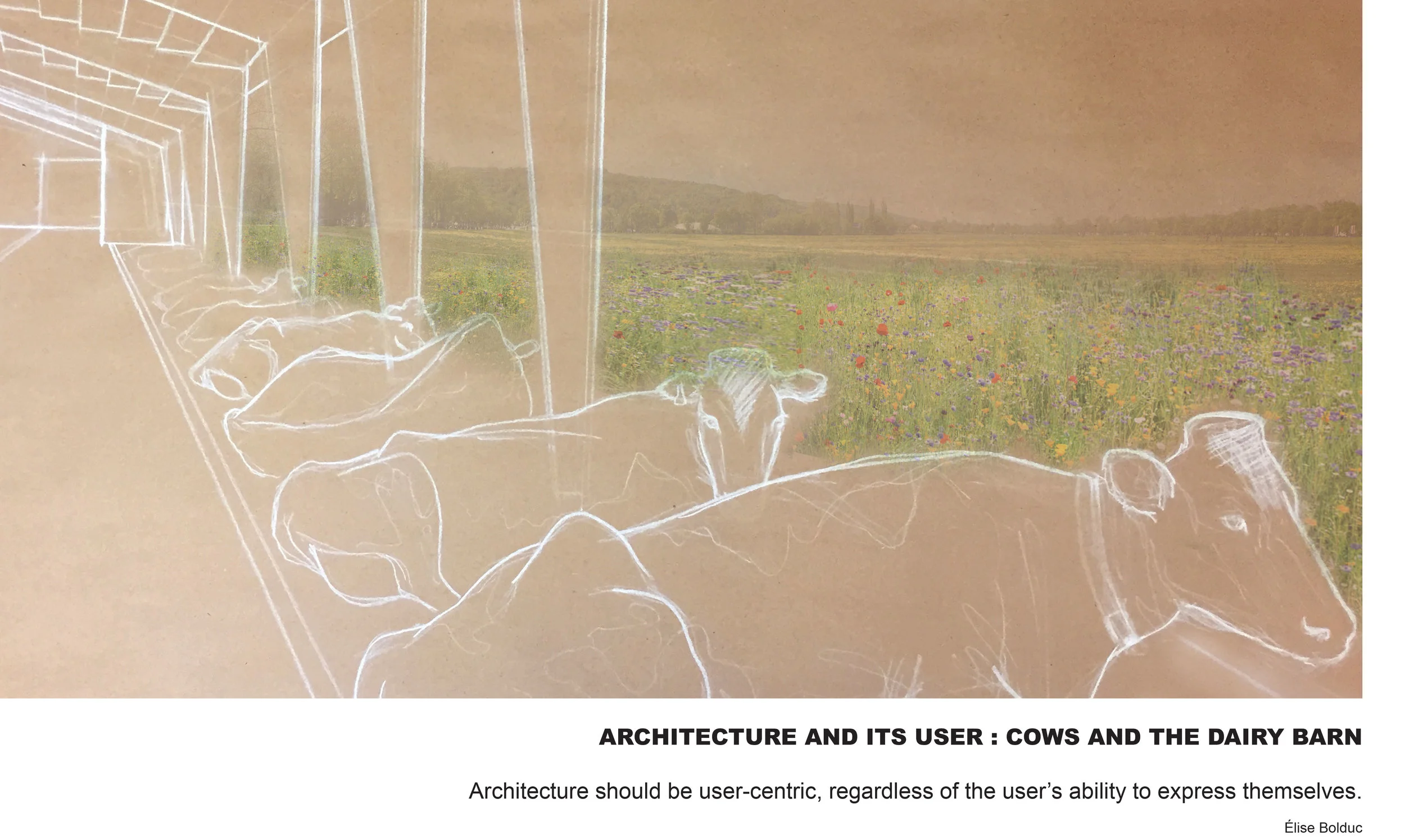 HONOR / UNBUILT STUDENT Cows and the Dairy Barn ÉLISE BOLDUC