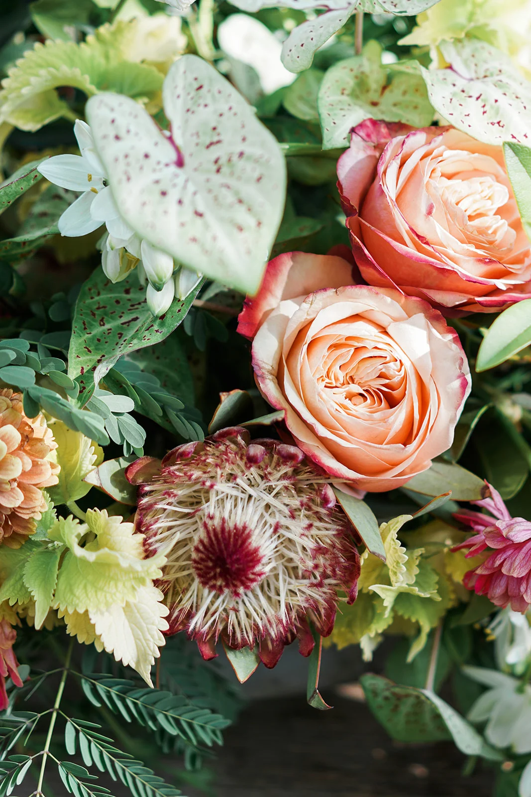 Brides of Austin featured wedding shoot. Wild Onion Ranch Wedding Photos. Boho style wedding shoot. Austin wedding photographer.