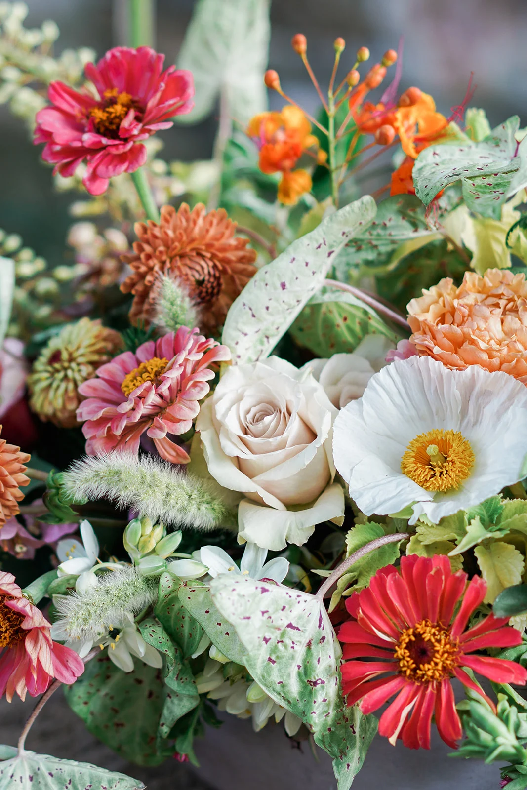 Brides of Austin featured wedding shoot. Wild Onion Ranch Wedding Photos. Boho style wedding shoot. Austin wedding photographer.
