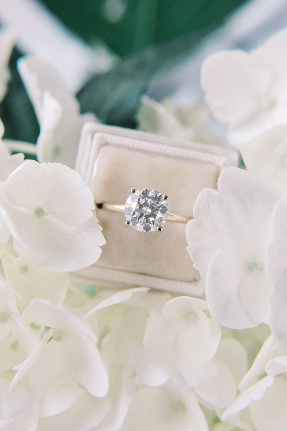 Mercury Hall Wedding | Austin Wedding Venue | Mercury Hall Brunch Wedding | Austin Wedding Photographer | Austin Brunch Wedding | Mercury Hall | Caitlin Rose Photography | Austin Wedding Photos | Mercury Hall Wedding Photos | South Congress Hotel | Austin Wedding Photographer