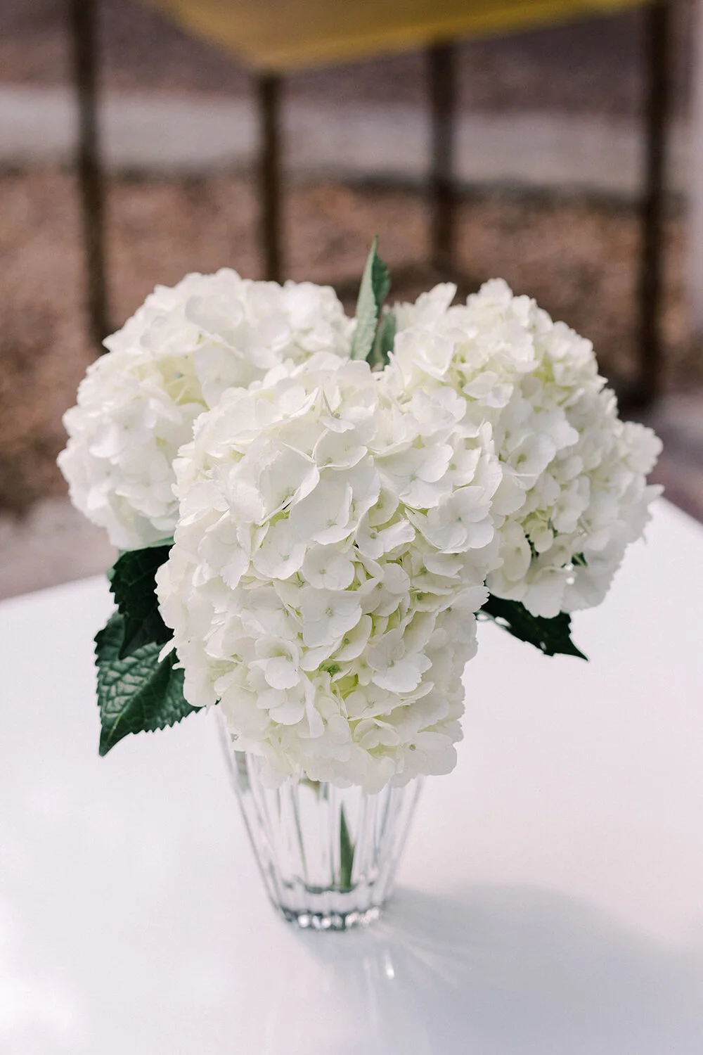 Mercury Hall Wedding | Austin Wedding Venue | Mercury Hall Brunch Wedding | Austin Wedding Photographer | Austin Brunch Wedding | Mercury Hall | Caitlin Rose Photography | Austin Wedding Photos | Mercury Hall Wedding Photos | South Congress Hotel | Austin Wedding Photographer