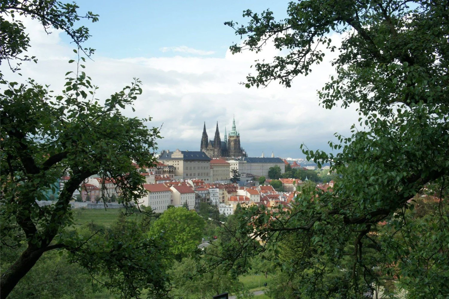 A cityscape of Prague with the Prague Castle and St. Vitus Cathedral in the distance, framed by green tree branches and leaves.