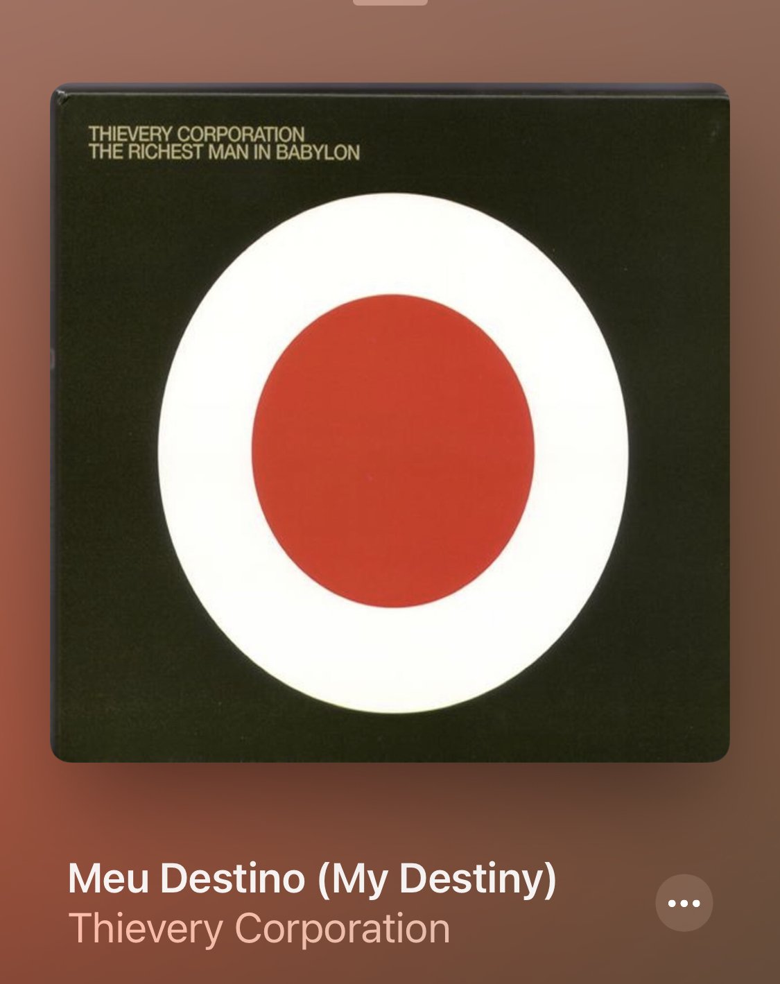  Thievery Corporation is one of my favorite musical groups of all time. Their work is some of the most instrumentally and lyrically rich music you could listen to, often incorporating lyrics in different languages. “Meu Destino” stands out to me as I