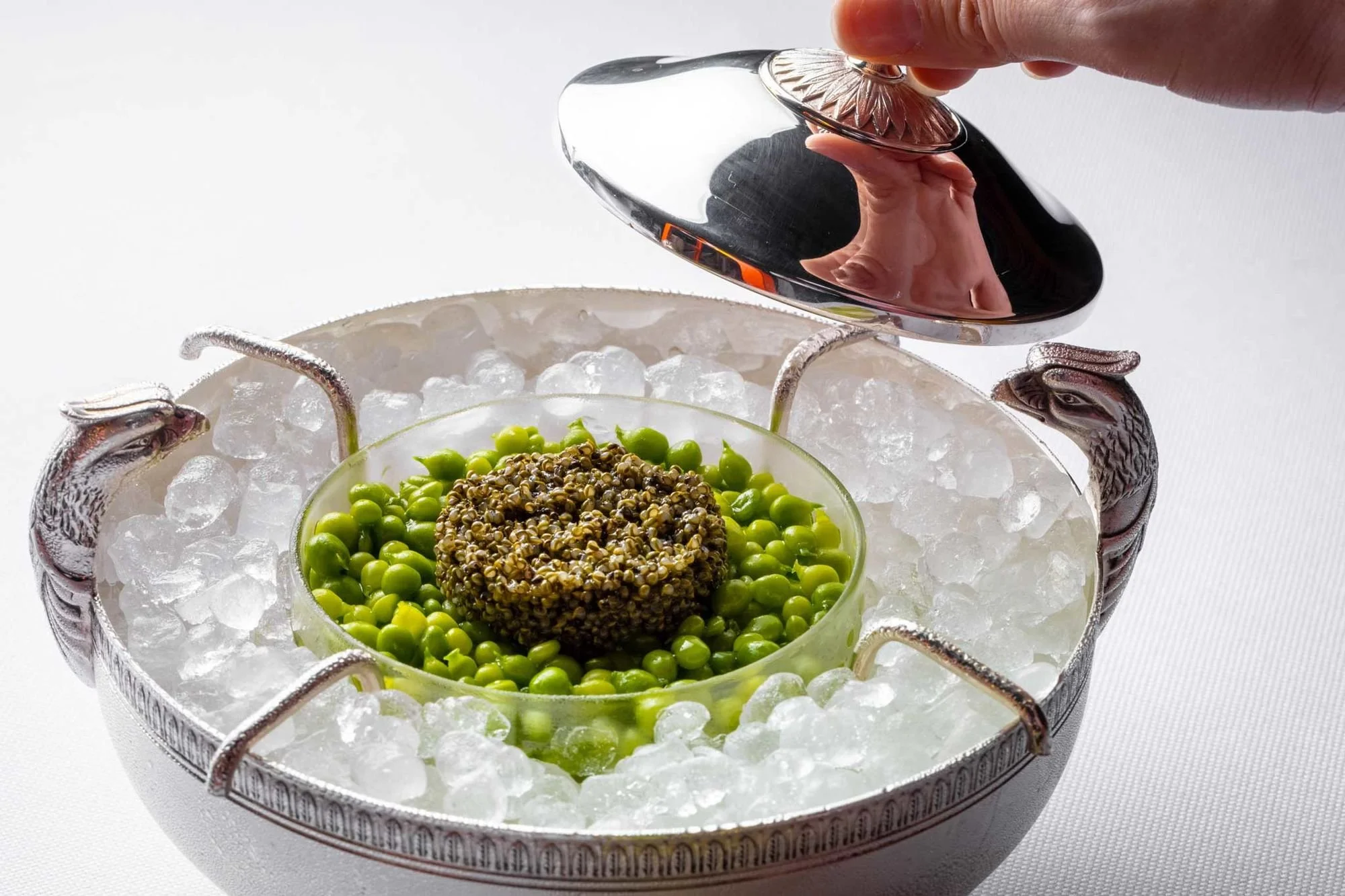 Nol's  Pov: The 5 Vegan Friendly Restaurants You Must Visit 