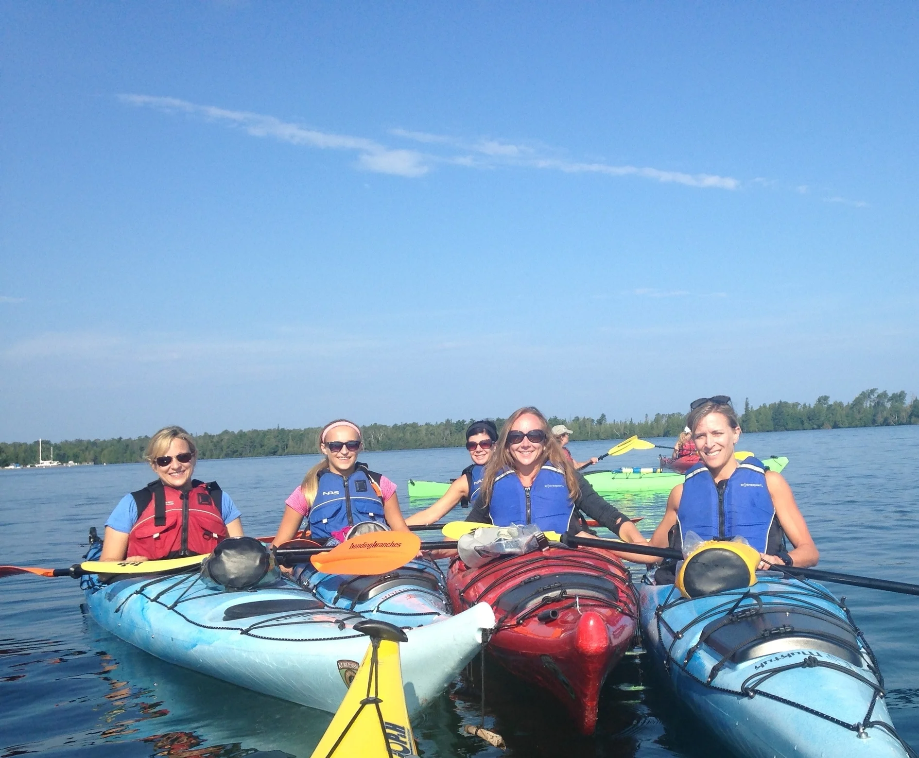 Under the Influence (of STEM).