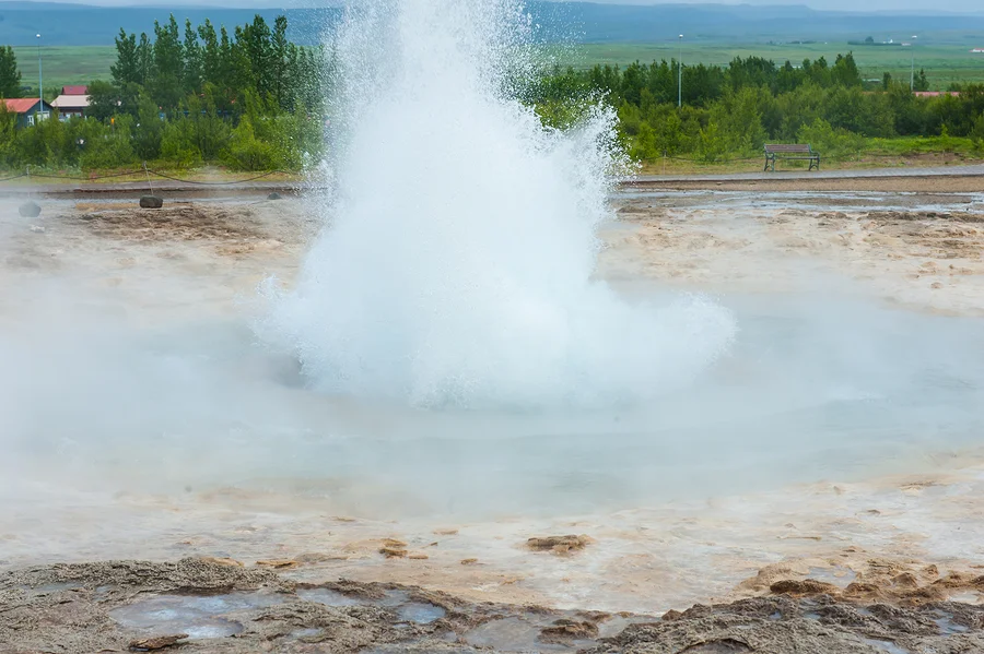 Using Icelandic Tomatoes To Teach Next Gen Science Standards – Part 4