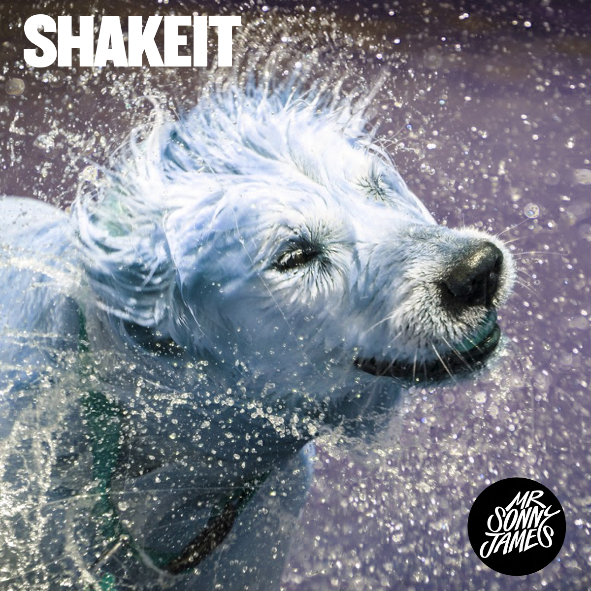 Shakeit.