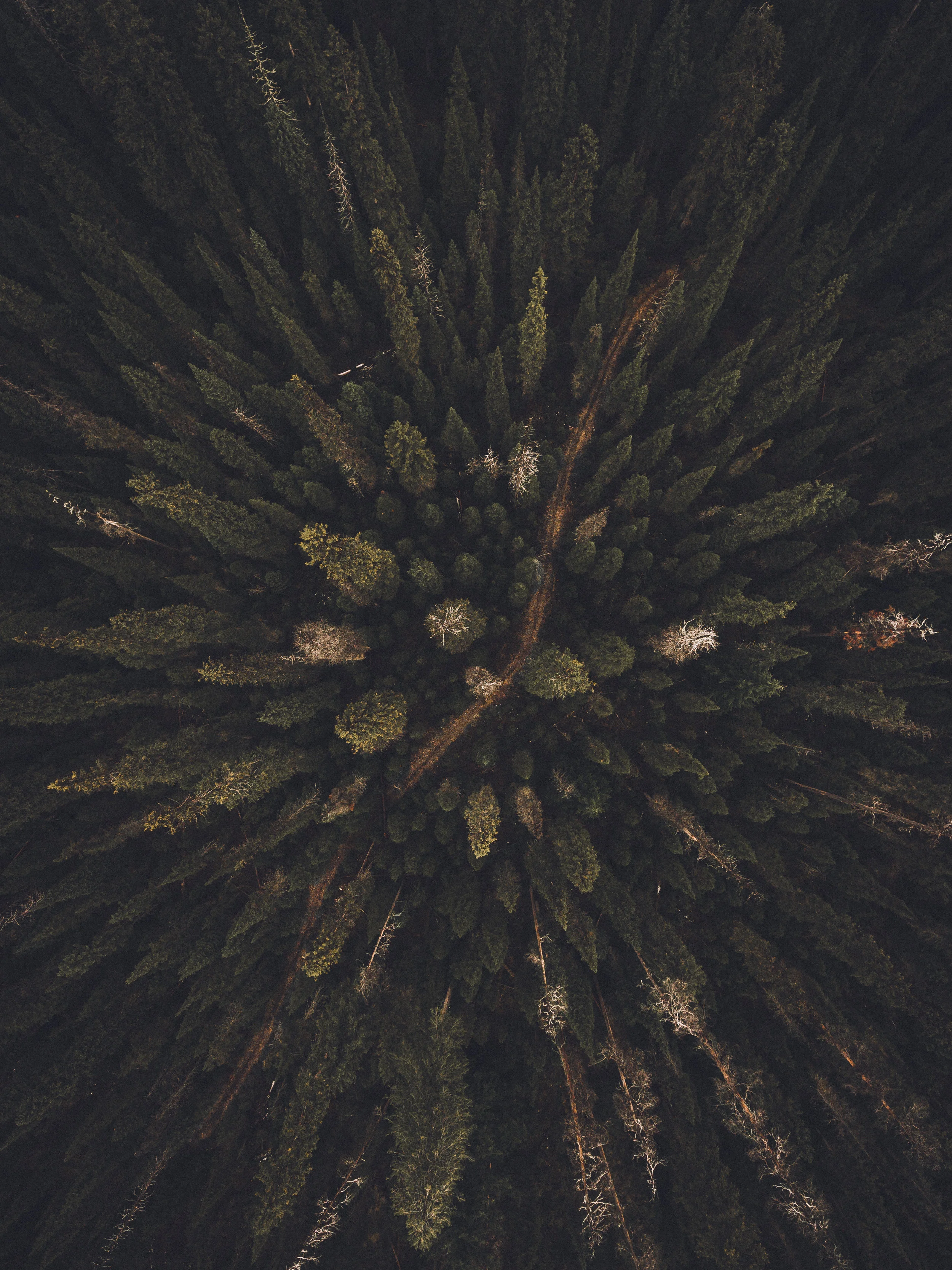DJI_0010-2.jpg