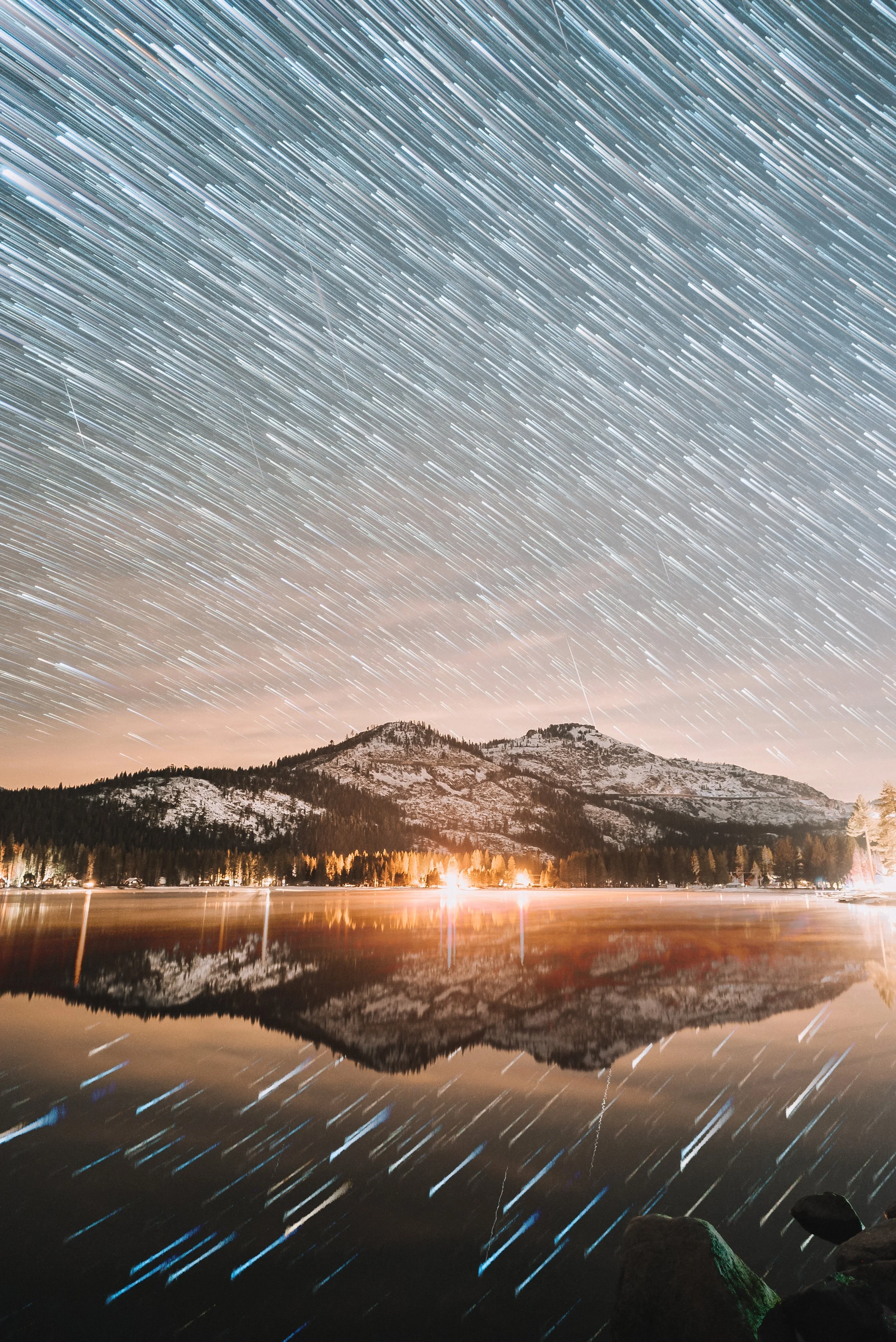 Donner starstaxx.jpg