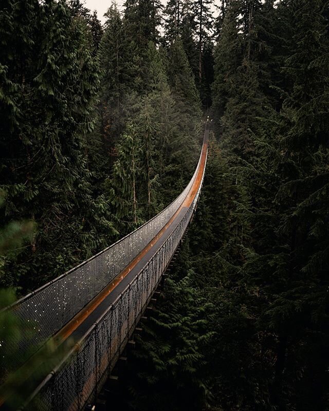 Day 4 calls for an oldie
.
Back in 2016 Meg &amp; I traveled up to Canada then down through the west coast. If you ever get the chance, I&rsquo;d highly recommend it. When we got to Vancouver the suspension bridge was on the top of our list. It was a