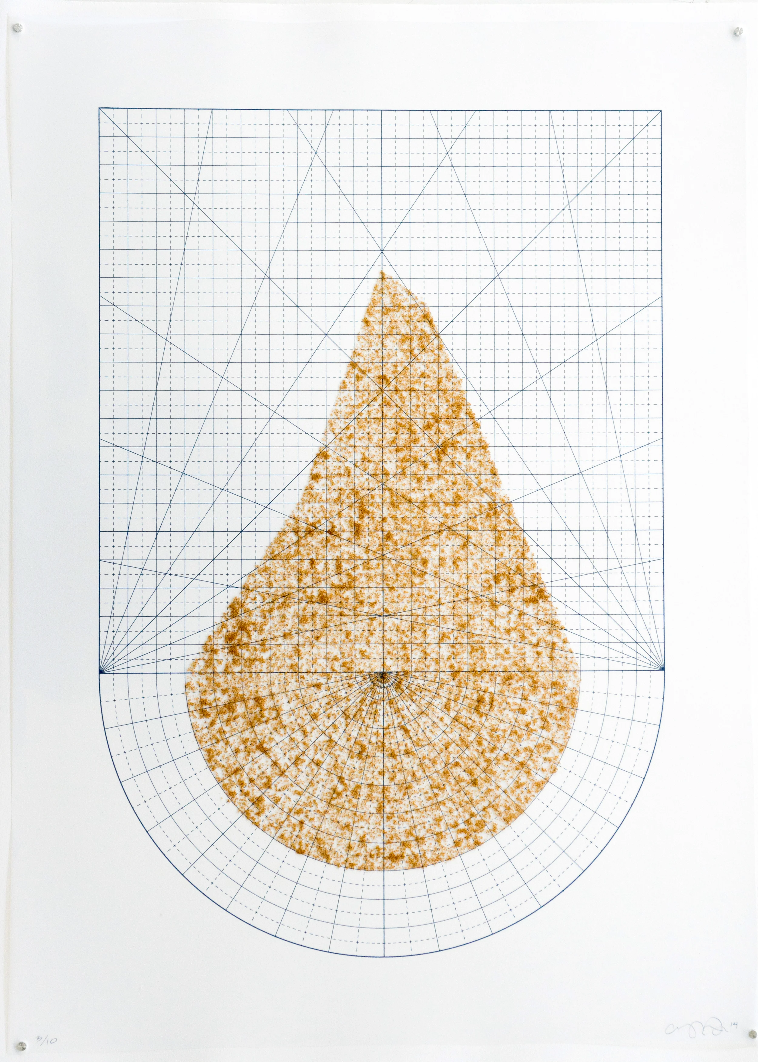 $400 22"x30" brown sugar, acetate, aluminum pins, silkscreen on paper