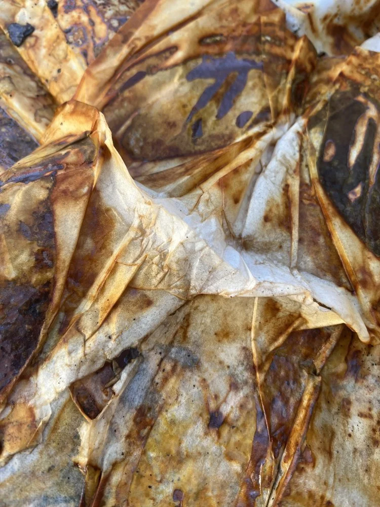 IMG_5736 copy 2.jpeg