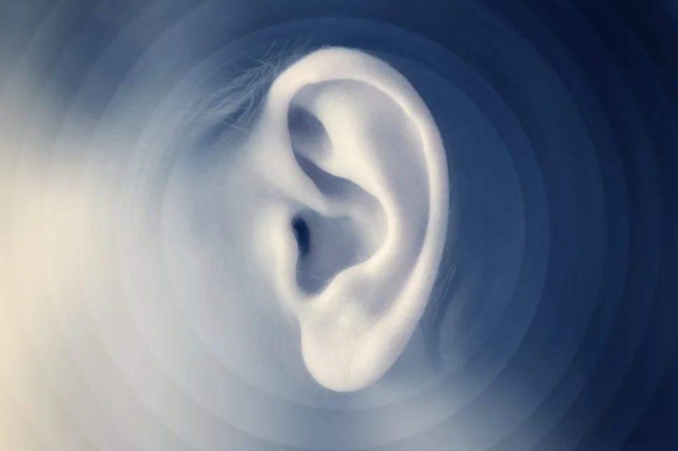 Kevin Perlmutter: Facing the Music as a Brand