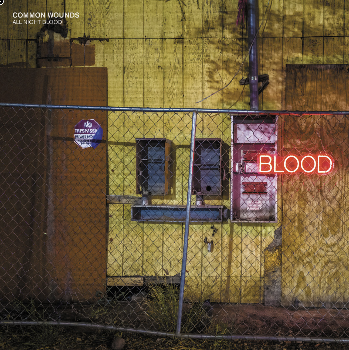 Common Wounds "All Night Blood"
2024

 

  Producer, Recording engineer, Mixing Protagonist Records  