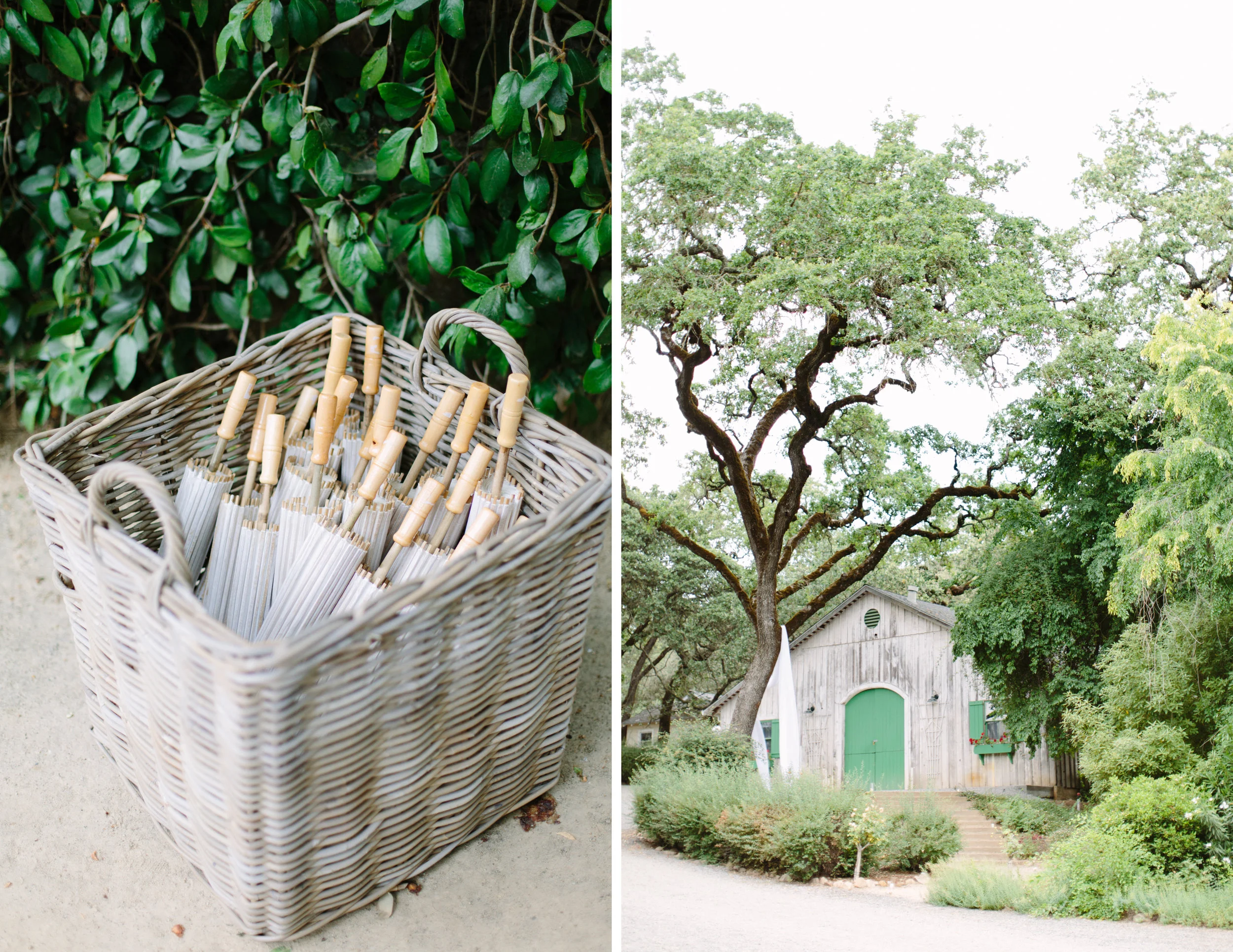 annadel estate winery wedding 5.jpg