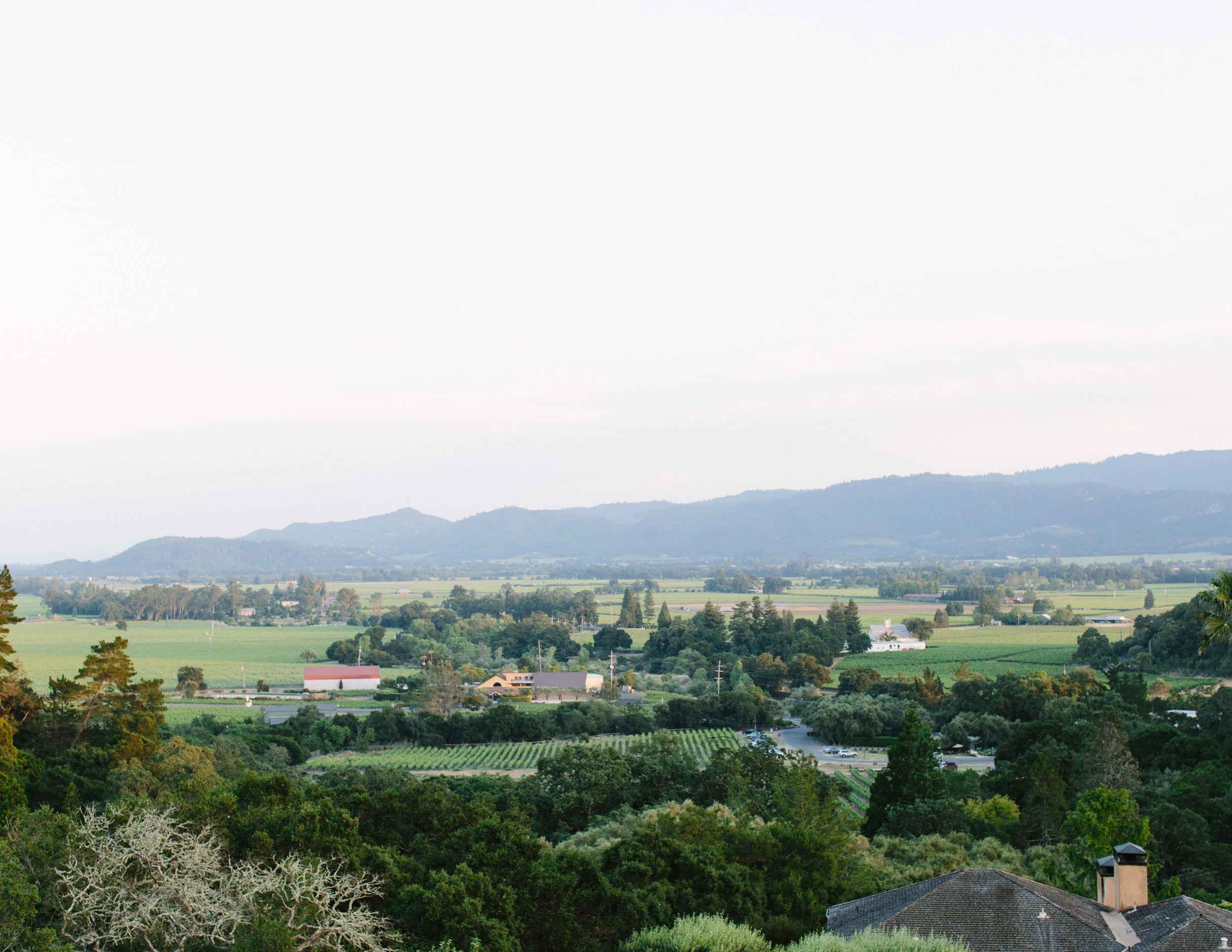 auberge napa wedding 18.jpg