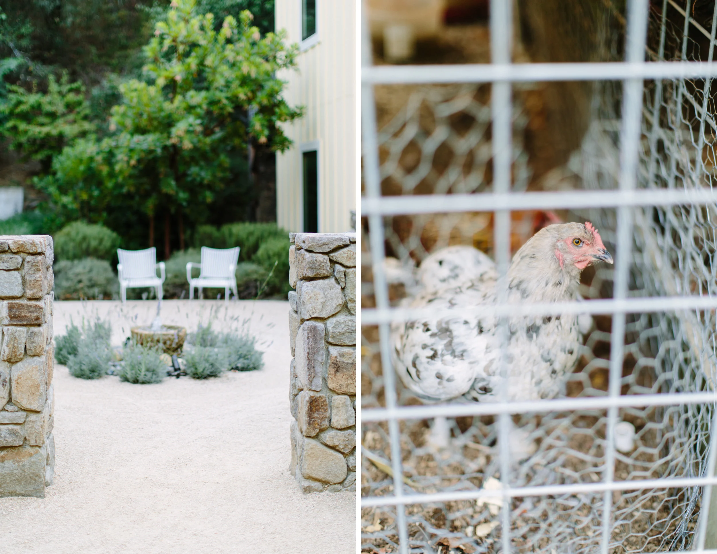 farmhouse inn sonoma elopement 3.jpg