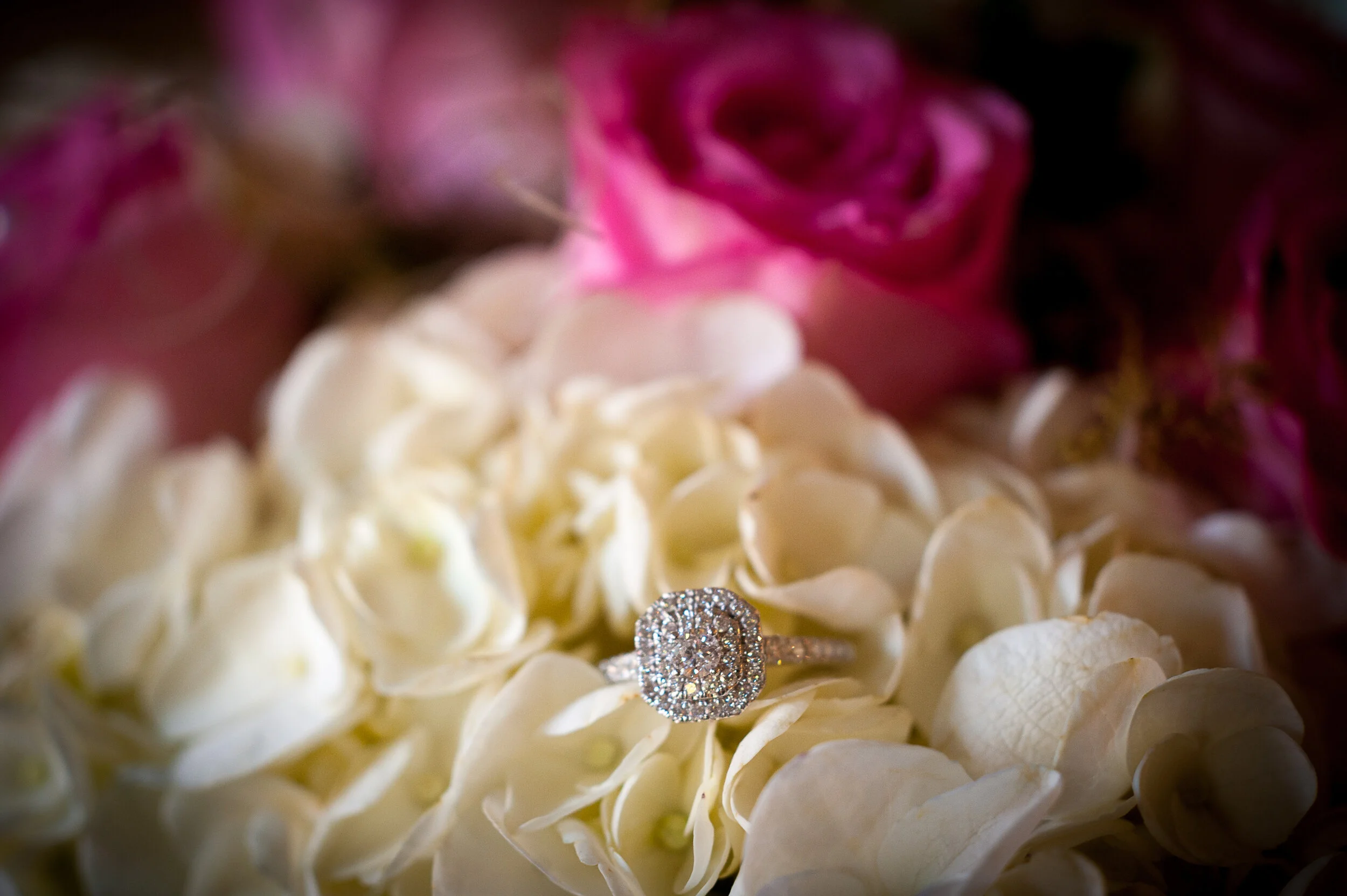 details-8842.jpg