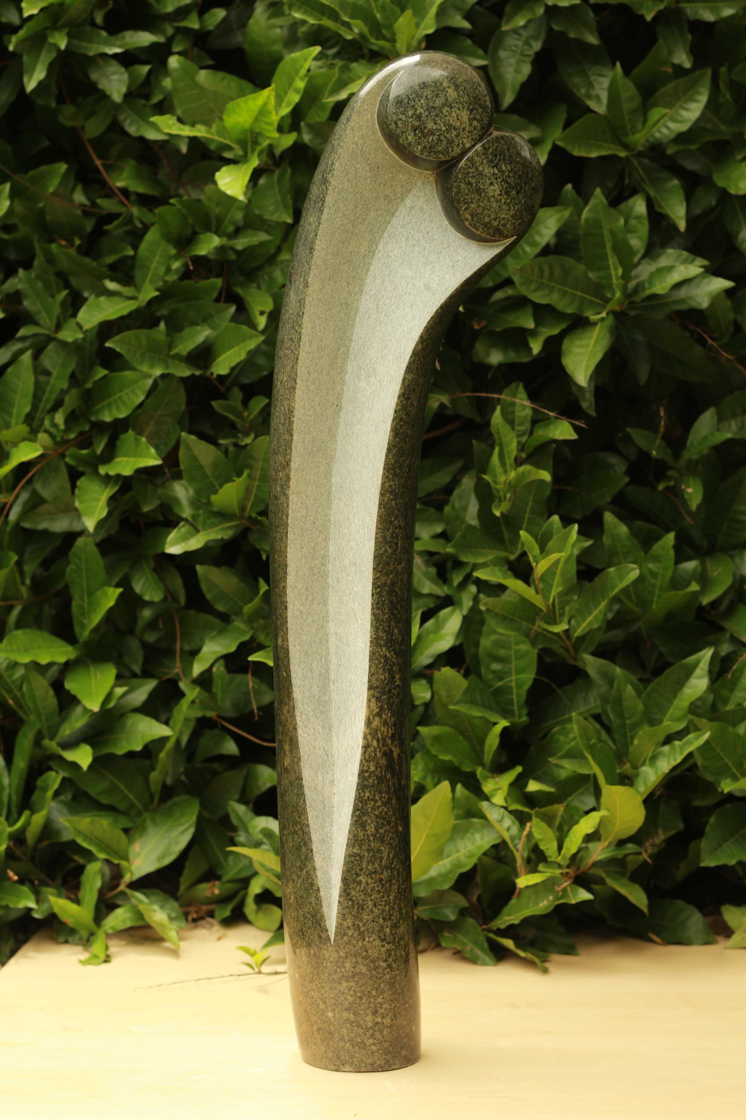 2013017.JPG